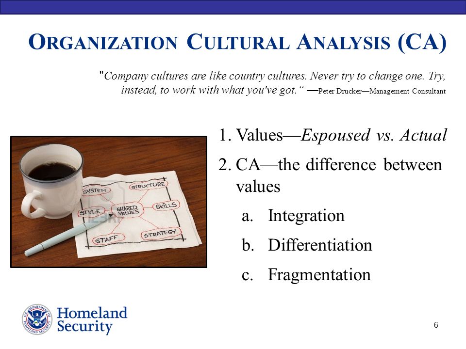Cultural analysis of an organization